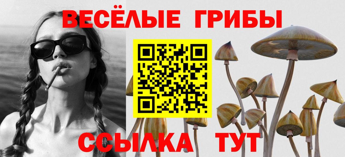 Галлюциногенные грибы Psilocybine cubensis  Галлюциногенные грибы мицелий  Светлоград  Вход с VPN 